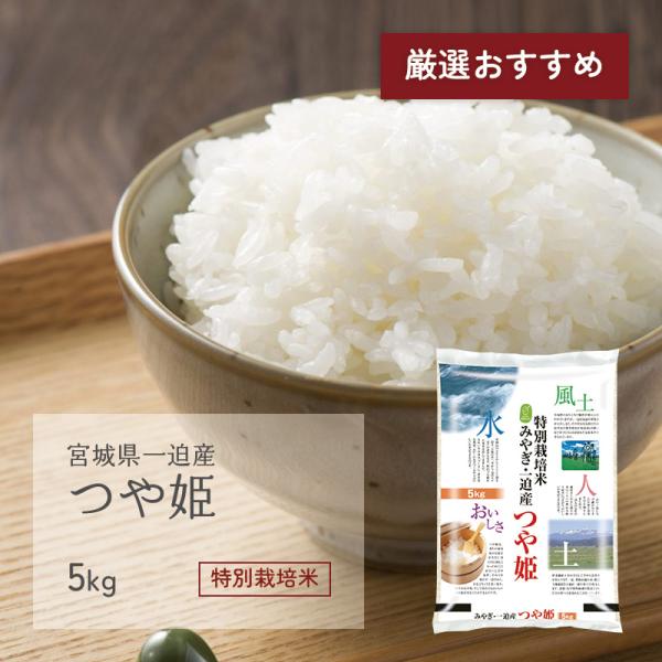 つや姫 5kg 宮城県一迫産 特別栽培米 令和5年産 受注生産