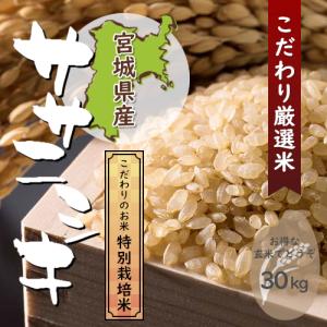 ササニシキ 一等米玄米 30kg 宮城県産 特別栽培米 令和元年産