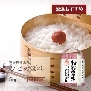 ひとめぼれ 5kg 宮城県登米産 特別栽培米 令和5年産 受注生産