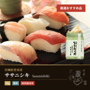 つや姫 10kg(5kg×2袋) 宮城県産 令和7年産 : 伊達の蔵出し本舗-お米の