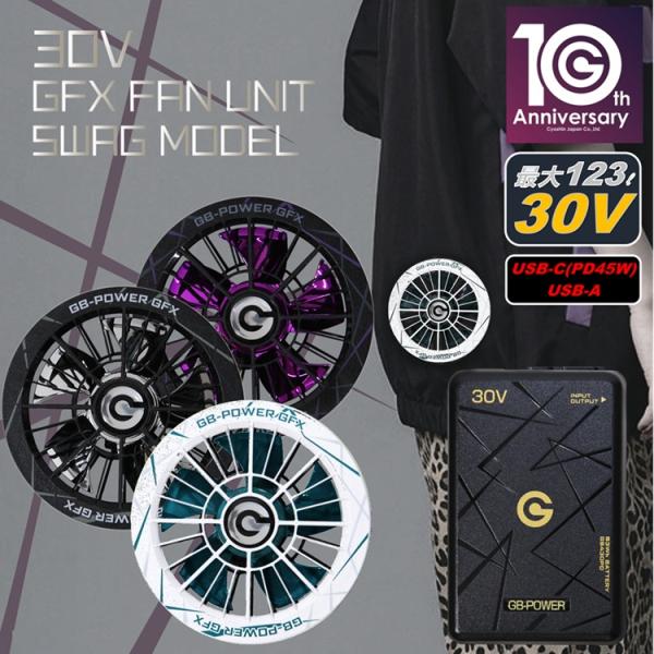 ※PDポート付き【10th限定】【GB430PD+GFX10th】【2026年30V】長信ジャパン ...