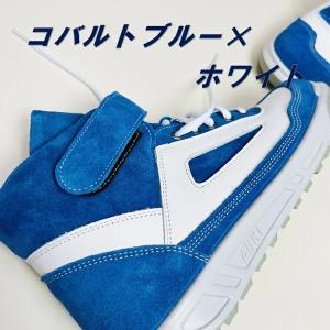 青木産業 ATENEO アテネオ ZR-21シ...の詳細画像3