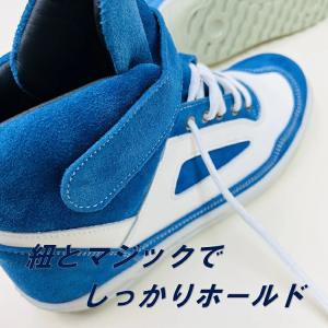 青木産業 ATENEO アテネオ ZR-21シ...の詳細画像4
