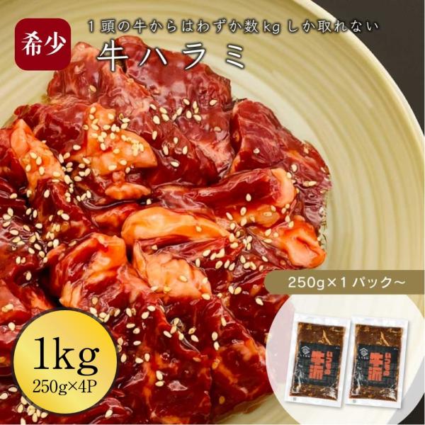 牛ハラミ 焼肉用 1000g (250g×4パック) 伊達のくら 味付き 冷凍 焼肉セット バーベキ...