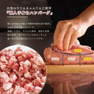 牛タン ハンバーグ 惣菜 10個 伊達のくら ...の詳細画像1