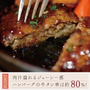 牛たんハンバーグ 120g×1パック 伊達のく...の詳細画像4