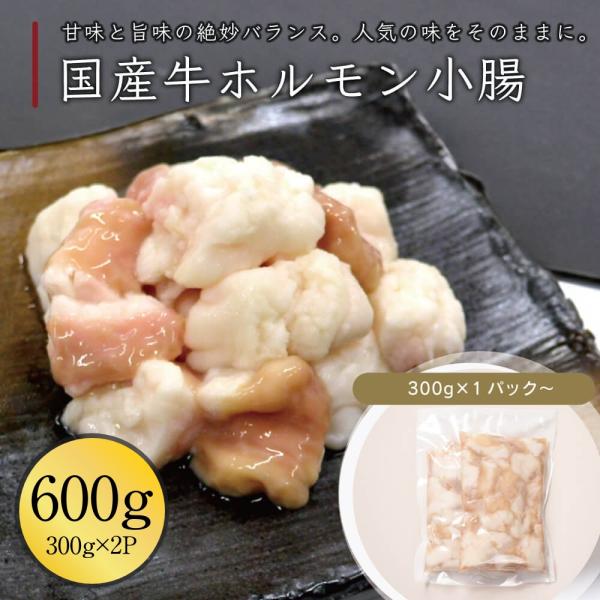 国産牛 大トロホルモン 600g 伊達のくら もつ単品 もつ鍋 もつ焼き 小腸 焼肉 バーベキュー ...