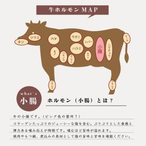 大トロホルモン焼き 国産牛 味付き300g(1...の詳細画像2