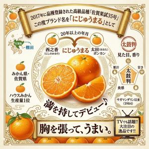 佐賀産 にじゅうまるの基準外品 ”ひぜんユース...の詳細画像5