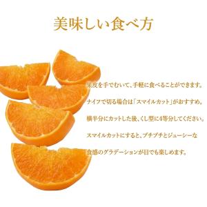 佐賀産 にじゅうまるの基準外品 ”ひぜんユース...の詳細画像4