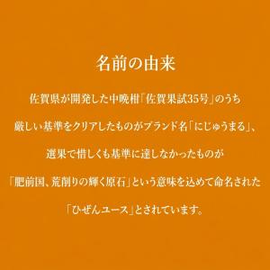 佐賀産 にじゅうまるの基準外品 ”ひぜんユース...の詳細画像2
