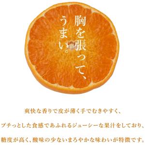 佐賀産 にじゅうまるの基準外品 ”ひぜんユース...の詳細画像3