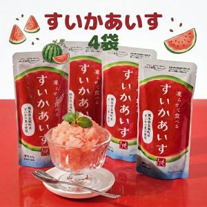 凍らせて食べる すいかあいす 100g 4個 夏季限定 熊本県益城町産すいかの果汁使用 もへじ 全国送料無料 カルディ 熱中症対策 スイカ かき氷 塩分補給 暑さ対策