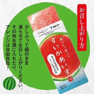 凍らせて食べる すいかあいす 100g 8個 ...の詳細画像3
