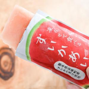 凍らせて食べる すいかあいす 100g 4個 ...の詳細画像2