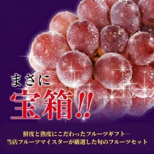 旬のフルーツギフト Cセット [全国の美味しい...の詳細画像4
