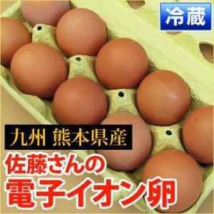 熊本産  電子イオン卵  1パック 10個入 （ 野菜セット