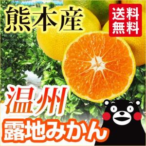 みかん  熊本産  露地 温州 ５kg  送料無料   九州 熊本 早生 極早生 みかん 柑橘 オレンジ 栄養 効能 カロリー 旬 甘い 生産量 こたつ｜datsu808