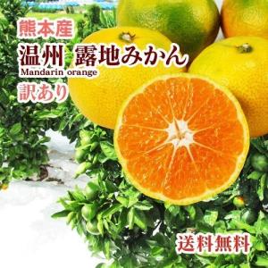 みかん  熊本産  訳あり サイズ混合 １５kg   送料無料 　九州 熊本 温州 早生 極早生 みかん 柑橘 ミカン こたつ 甘い｜datsu808