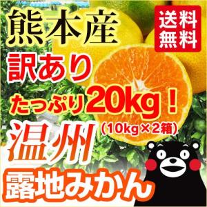 熊本産  訳あり 温州みかん ２０kg ［10kg×2箱］  送料無料    九州 熊本 みかん 早生 柑橘 オレンジ