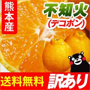 不知火（ デコポン と同品種 ） 熊本産 訳あり ご家庭用 20kg（10kg