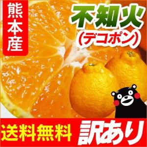 不知火（ デコポン と同品種 ） 熊本産 訳あり ご家庭用 20kg（10kg
