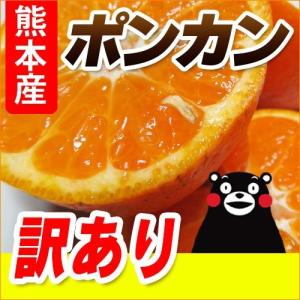 ポンカン 熊本産 訳あり ５kg  送料無料  九州 熊本 ぽんかん みかん 柑橘