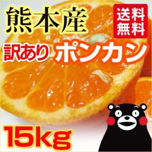 ポンカン 熊本産  訳あり １５kg  送料無料   九州 熊本 ぽんかん みかん 柑橘
