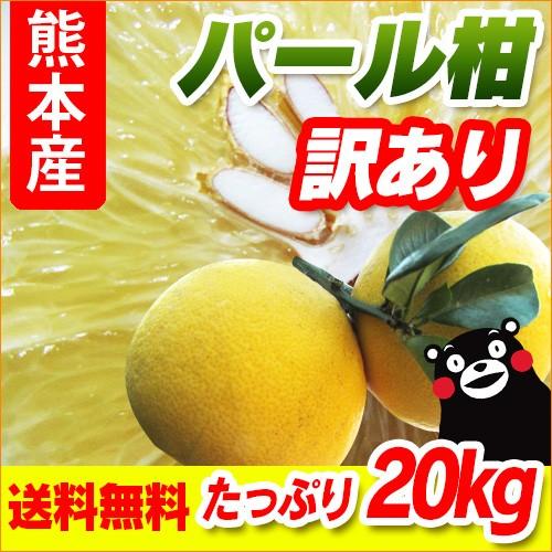 パール柑 熊本産 訳あり 2０kg ［10kg×2箱］ 送料無料　 九州 熊本 パール 文旦 みかん...