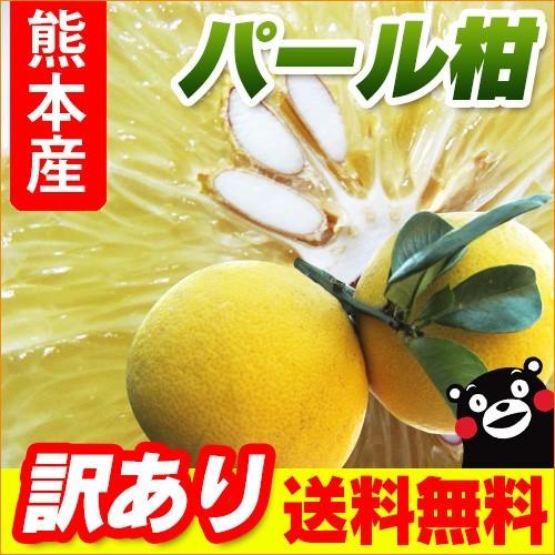 パール柑  熊本産  訳あり １５kg  送料無料　  九州 熊本 パール 文旦 みかん 柑橘 オレ...