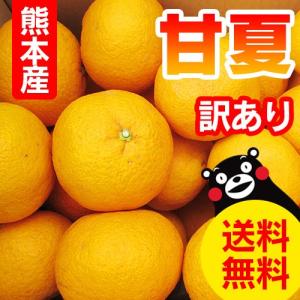 熊本産 訳あり 甘夏 10kg 送料無料 ( みか...