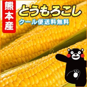 熊本産 入江さんの こだわり スイートコーン 20本 ...