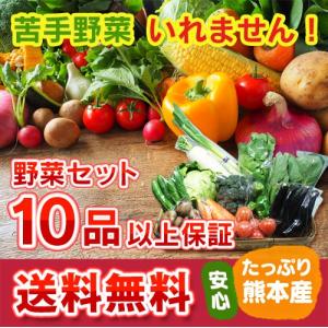 熊本・九州産  野菜セット 大盛 10品以上  送料無料  クール便   熊本 九州 野菜 盛り合わせ 食材 グルメ ご当地 ギフ ト母の日 父の日 お中元 お歳暮