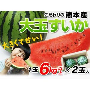 熊本産  大玉スイカ  ２玉 （ ２Lから4Lサイズ、１玉6kg以上 ）  送料無料　 （ 九州 熊本 西瓜 すいか 玉 ギフト 母の日 父の日 お中元 カロリー 低 糖質 ）｜datsu808