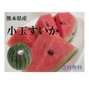 熊本産 小玉スイカ  ひとりじめ 1箱  （ 3kg前後、2〜3玉入り ）  送料無料 　（ 九州 熊本 小玉 こだま すいか 品種 黒 甘い ギフト 母の日 父の日 お中元 ）｜datsu808