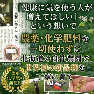 韃靼そば茶 お試し20g袋 国産(北海道産)だ...の詳細画像5
