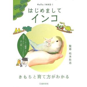 はじめましてインコ