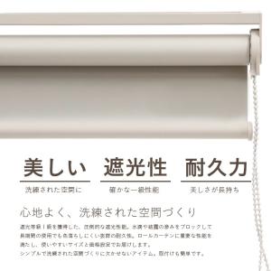 ロールスクリーン ロールカーテン ロールブライ...の詳細画像1