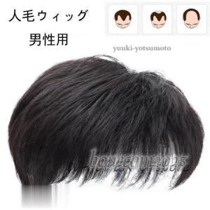 送料無料E.G.Oリアルファイバーウィッグ/メンズヘアピース「つむじ隠し