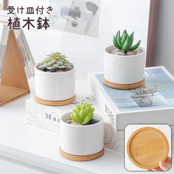 植木鉢 受け皿付き 多肉植木鉢 鉢 フラワーポット ポット セラミック ホワイト サボテン 観葉植物...