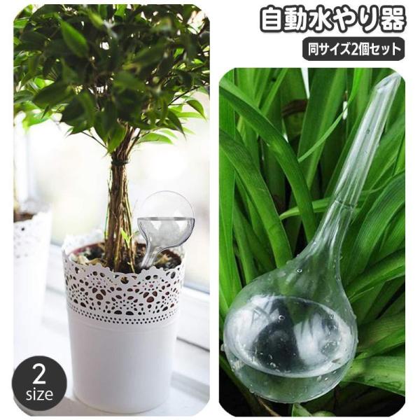 自動水やり器 自動給水器 2個セット ガーデニング用品 鉢植え 観葉植物 園芸 球体 ラウンド 丸型...