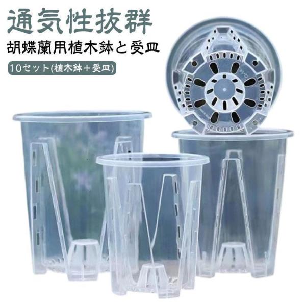 蘭の鉢 透明 蝶蘭 胡蝶蘭鉢 10鉢セット 多肉植物 プラスチック 植木鉢 植木鉢 洋蘭鉢 受皿付き...