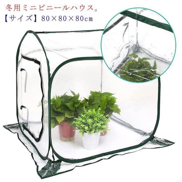 ビニールハウス 温室 ガーデンハウス ミニ ミニガーデン 菜園 園芸温室 家庭菜園 温室カバー ホー...
