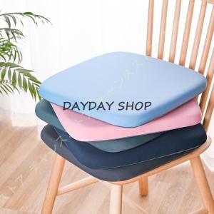 トゥルースリーパー（True Sleeper） 【正規品】新品 低反発座布団 45