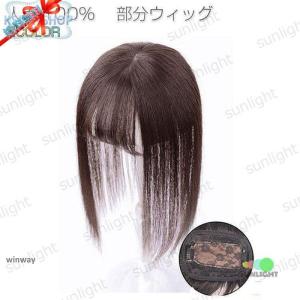 固定ピン 縫い付け不要 かつら用ピン ウィッグ MDM(ブラック, 10個