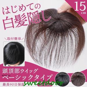 頭頂部ウィッグ 白髪隠し 頭頂部 ウィッグ 15cm 20cm 頭頂部