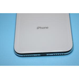 iPhoneX/iPhoneXS テン バック...の詳細画像3