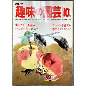 値下げ NHK 趣味の園芸 昭和54年 10月 実を楽しむ花木 クロトンを育てる