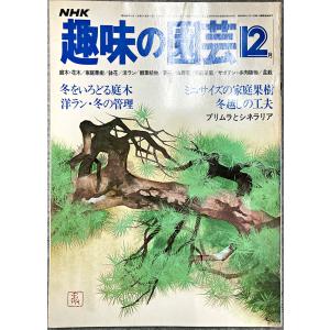 値下げ NHK 趣味の園芸 昭和54年 12月 冬をいろどる庭木 冬越しの工夫 洋ラン ミニサイズの家庭果樹