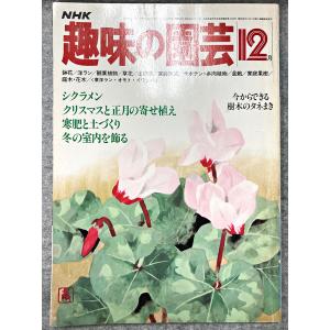 値下げ NHK 趣味の園芸 昭和55年 12月 シクラメン クリスマスと正月の寄せ植え